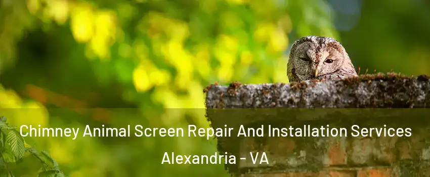  Chimney Animal Screen Repair And Installation Services Alexandria - VA