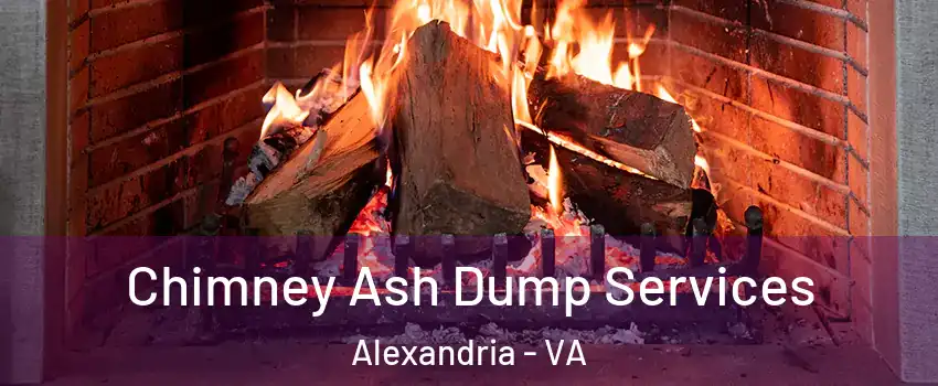  Chimney Ash Dump Services Alexandria - VA