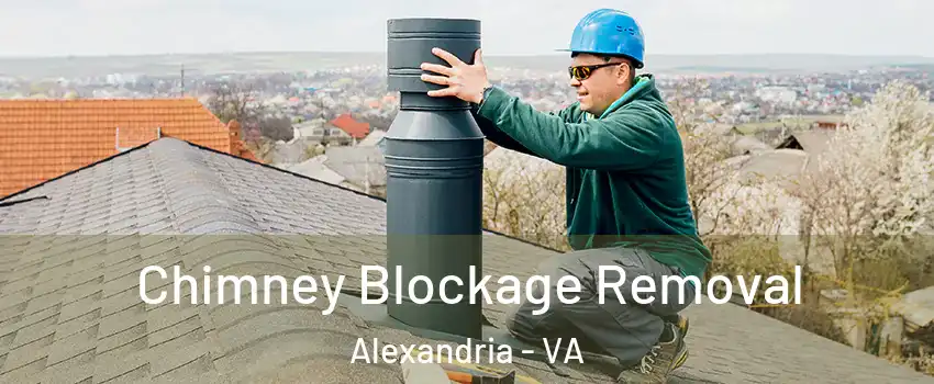  Chimney Blockage Removal Alexandria - VA