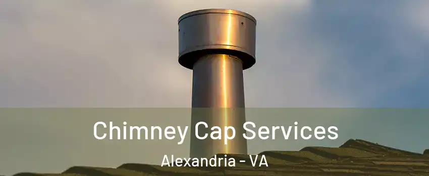  Chimney Cap Services Alexandria - VA