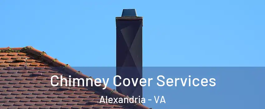  Chimney Cover Services Alexandria - VA