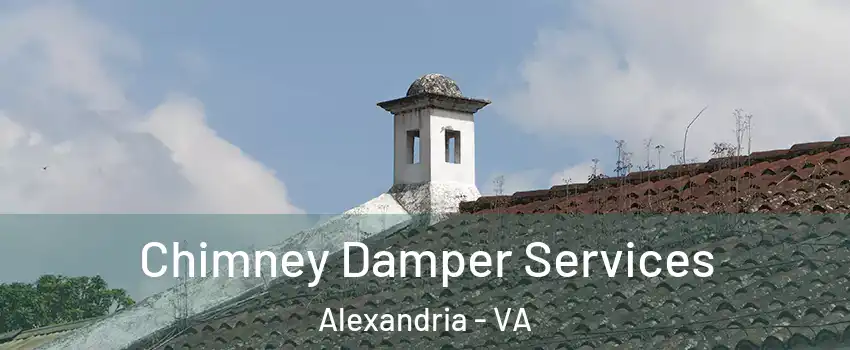  Chimney Damper Services Alexandria - VA