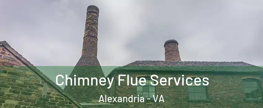  Chimney Flue Services Alexandria - VA