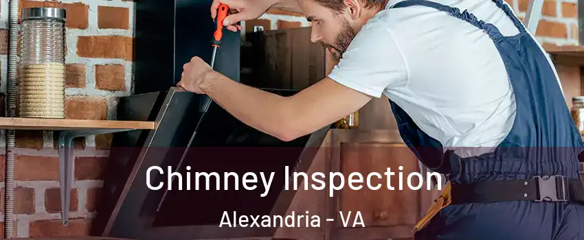  Chimney Inspection Alexandria - VA