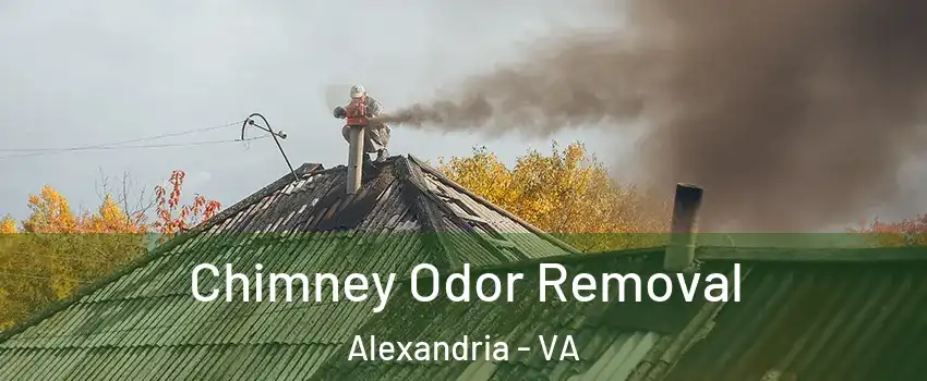  Chimney Odor Removal Alexandria - VA