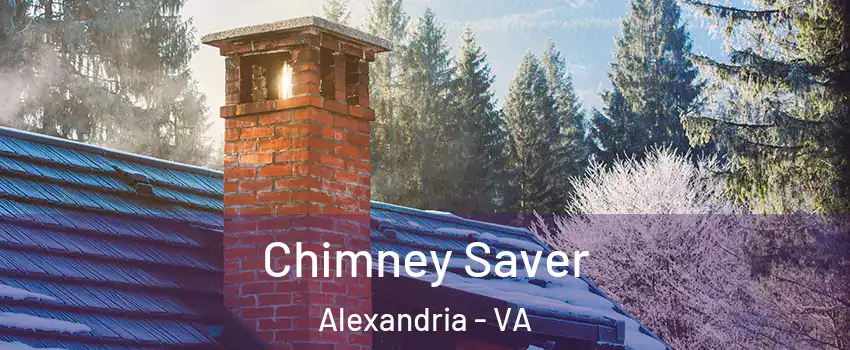  Chimney Saver Alexandria - VA
