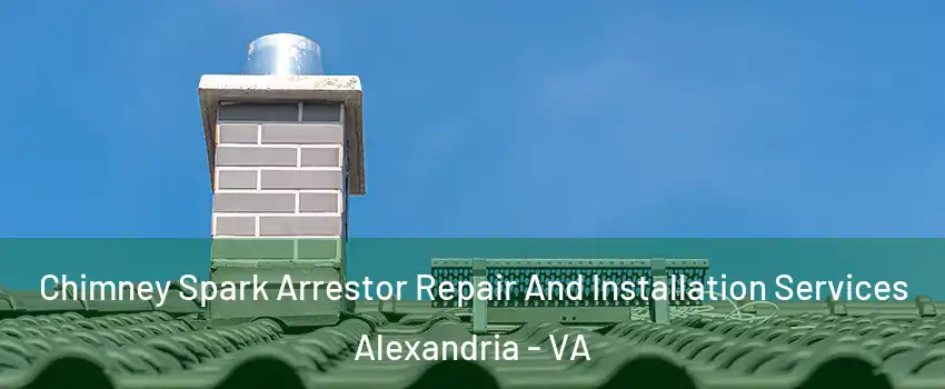  Chimney Spark Arrestor Repair And Installation Services Alexandria - VA
