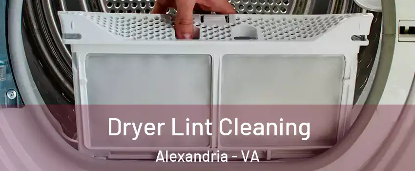  Dryer Lint Cleaning Alexandria - VA