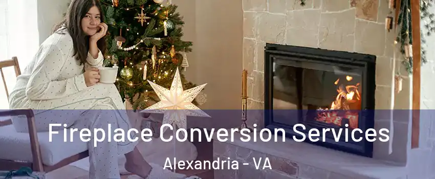 Fireplace Conversion Services Alexandria - VA