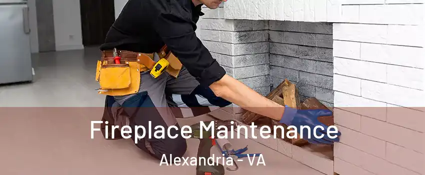  Fireplace Maintenance Alexandria - VA