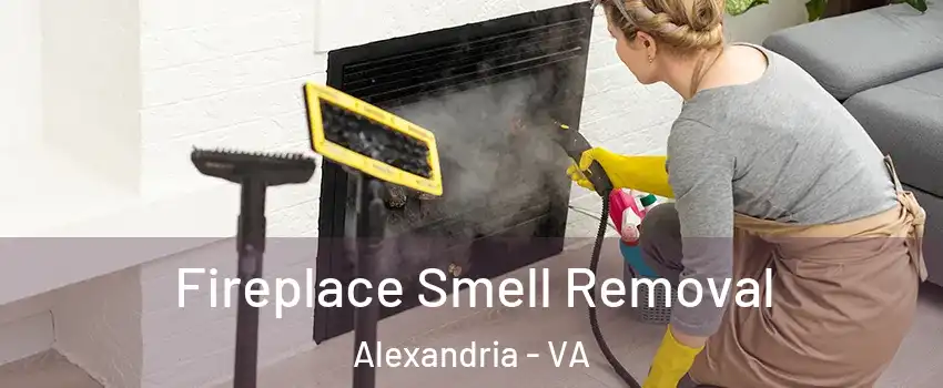  Fireplace Smell Removal Alexandria - VA