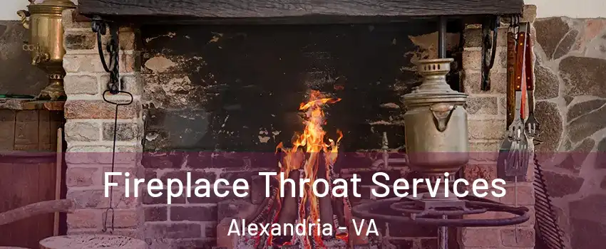  Fireplace Throat Services Alexandria - VA