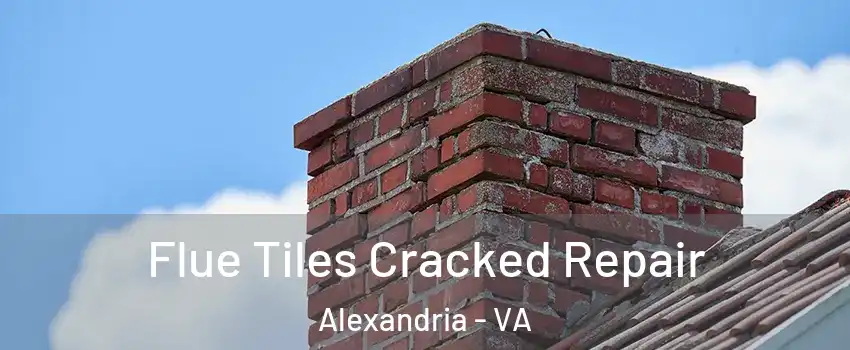  Flue Tiles Cracked Repair Alexandria - VA