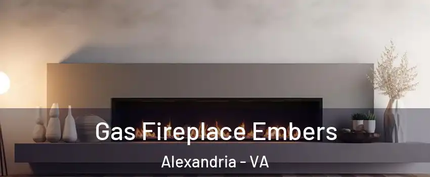  Gas Fireplace Embers Alexandria - VA