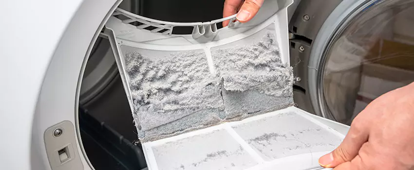 Best Dryer Lint Removal Company in Alexandria, Virginia