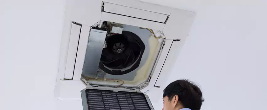 Benefits of Professional Air Duct Cleaning in Alexandria, Virginia