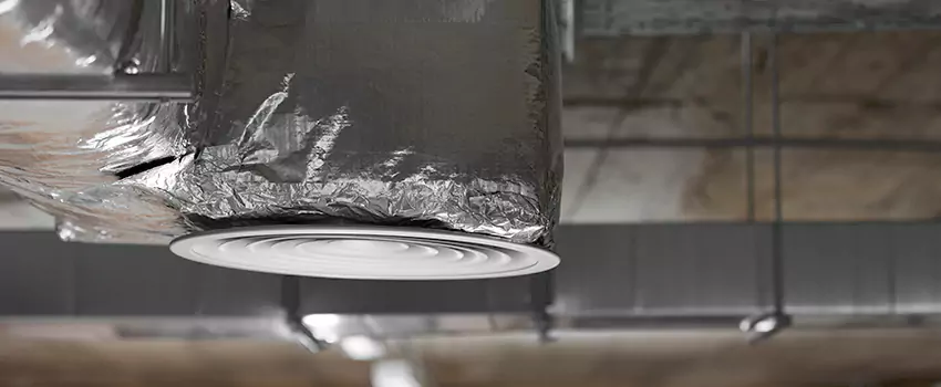Signs of Dust Accumulation in Vents in Alexandria, VA