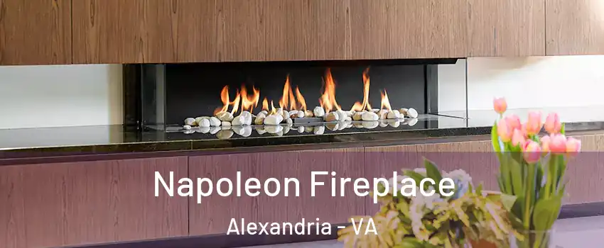  Napoleon Fireplace Alexandria - VA