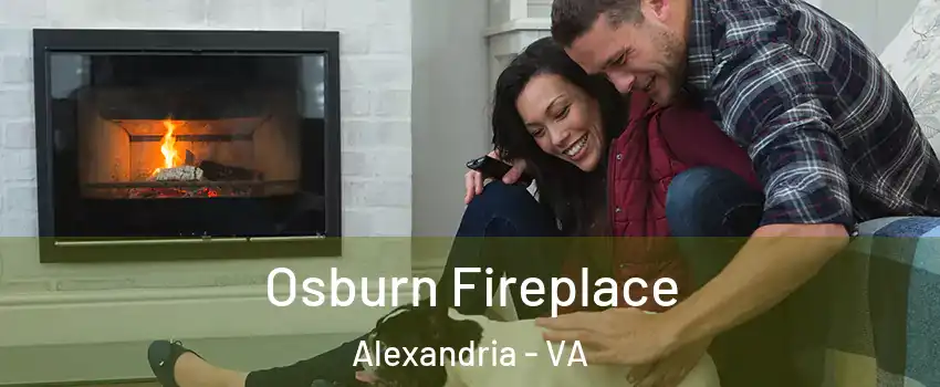 Osburn Fireplace Alexandria - VA