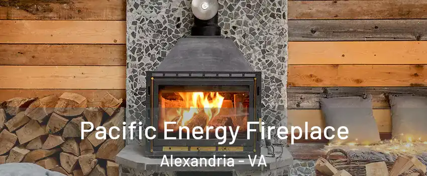  Pacific Energy Fireplace Alexandria - VA