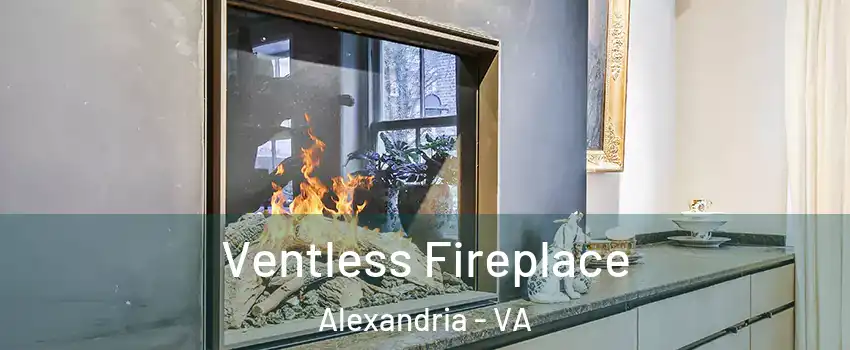  Ventless Fireplace Alexandria - VA